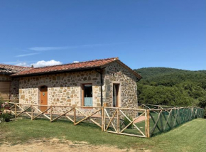 La Casetta Biricocolo Bucine